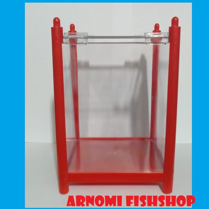 Aquarium Cupang Mini