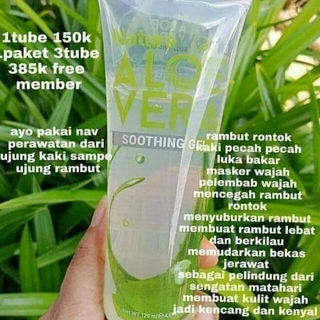 Aloevera