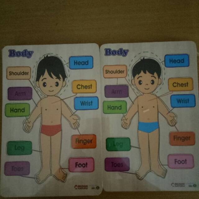 Paket 12 puzzle body