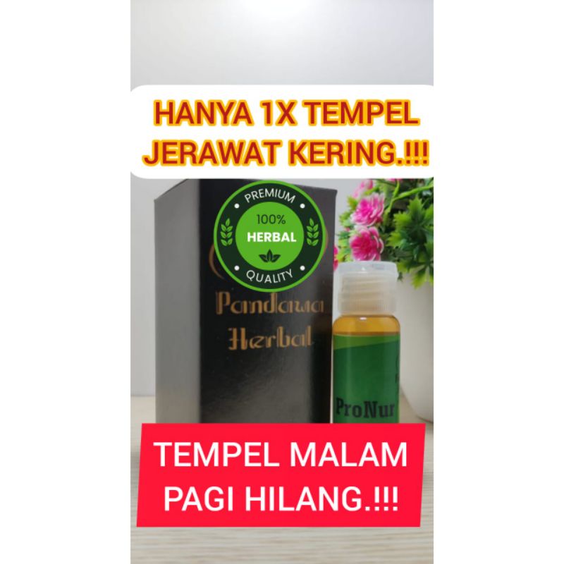 OBAT JERAWAT AMPUH TUNTAS