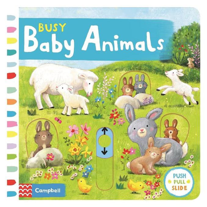 Push Pull Slide: Busy Baby Animals