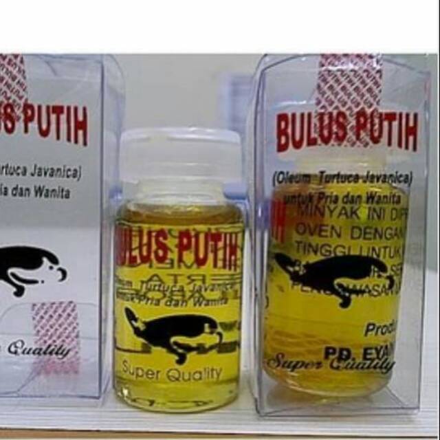Minyak bulus putih