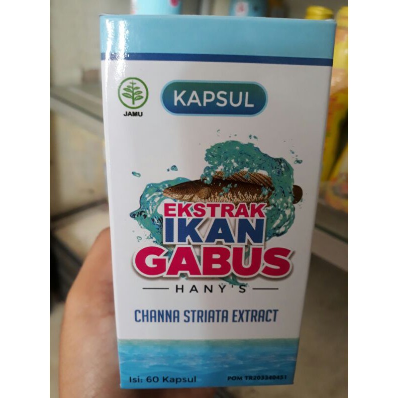 kapsul ekstrak ikan gabus