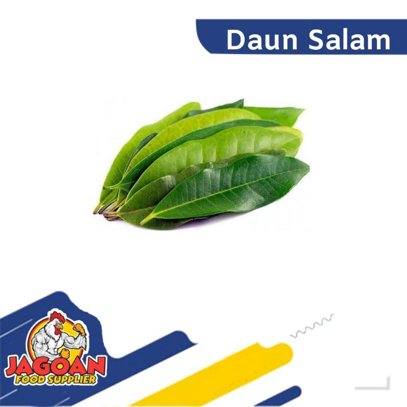 DAUN SALAM