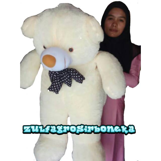 Bear chosy
