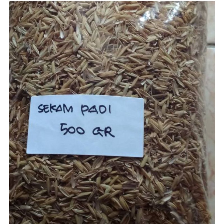 sekam padi (500 gram)