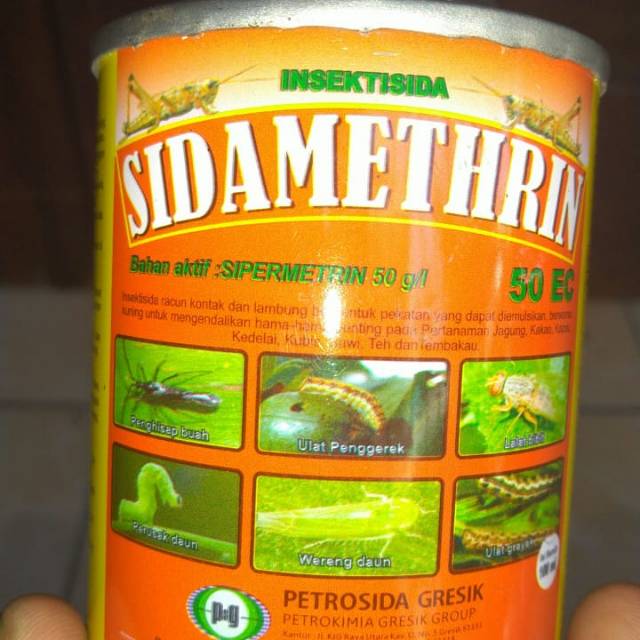 petisida