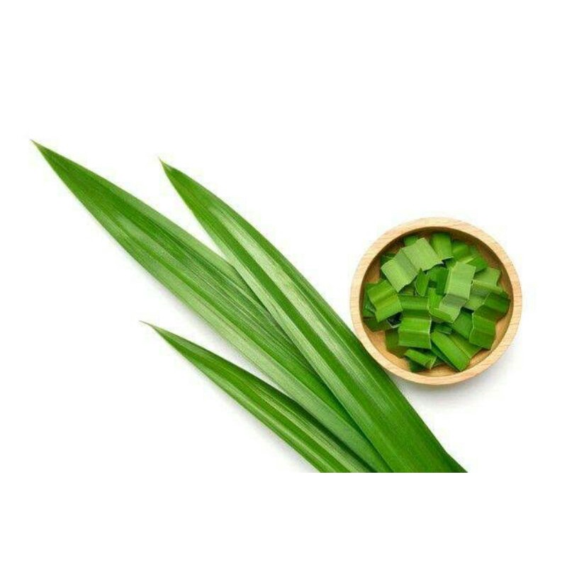daun pandan 1 ikat