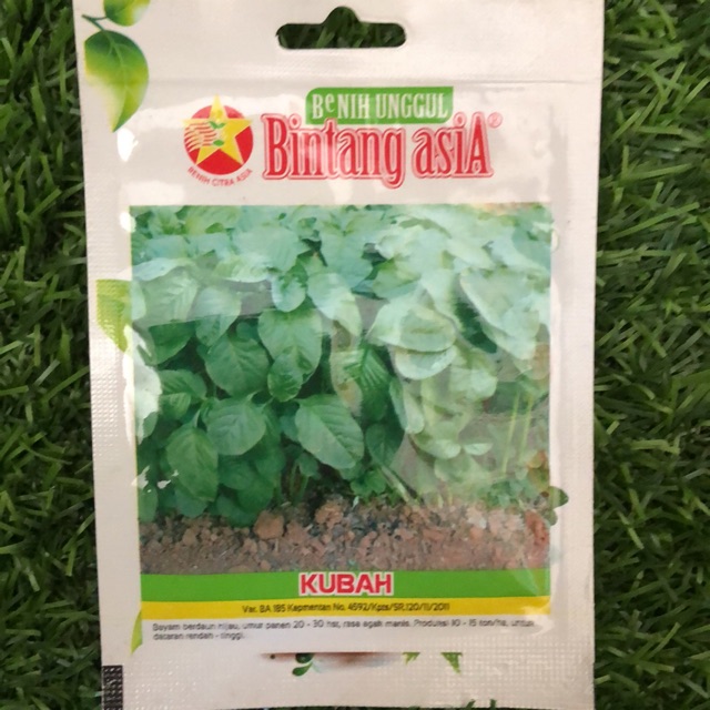 Benih Bayam