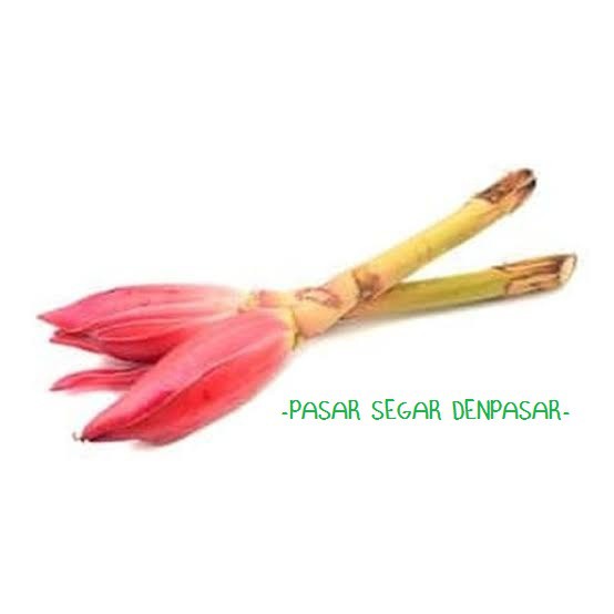 BUNGA KECOMBRANG PAKET 5RIBU