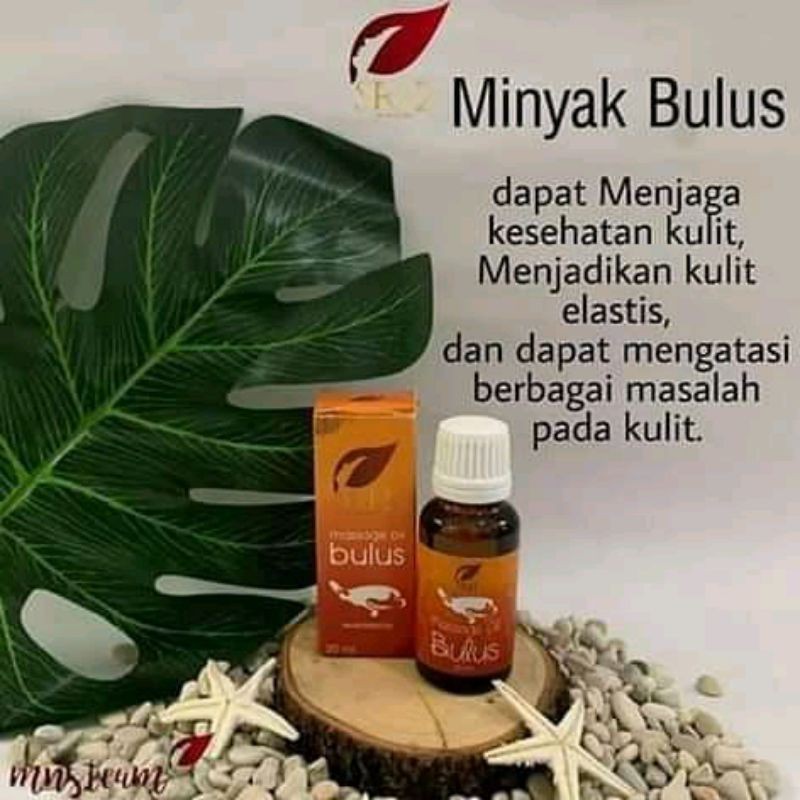 minyak bulus SR12