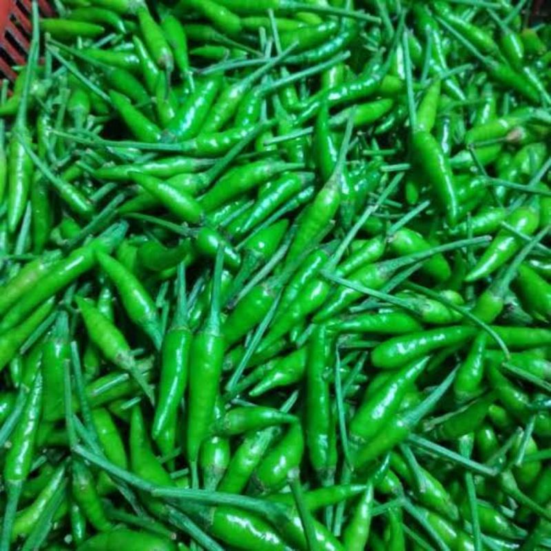 cabe rawit hijau 500gr