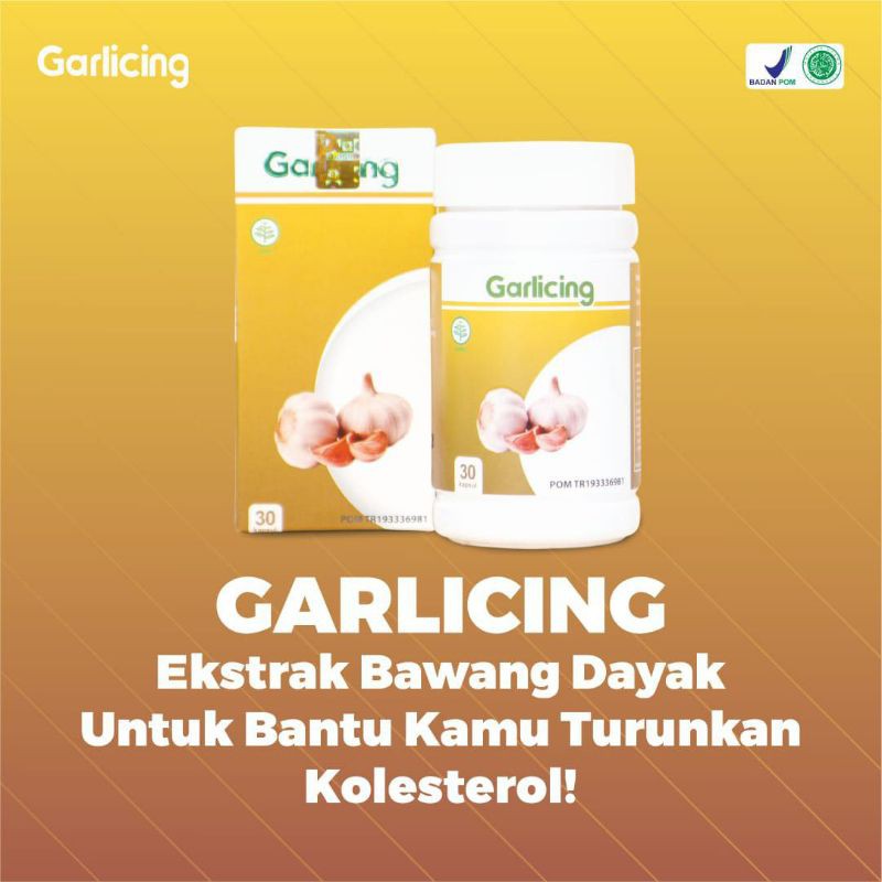 GARLIC TURUN KOLESTEROL