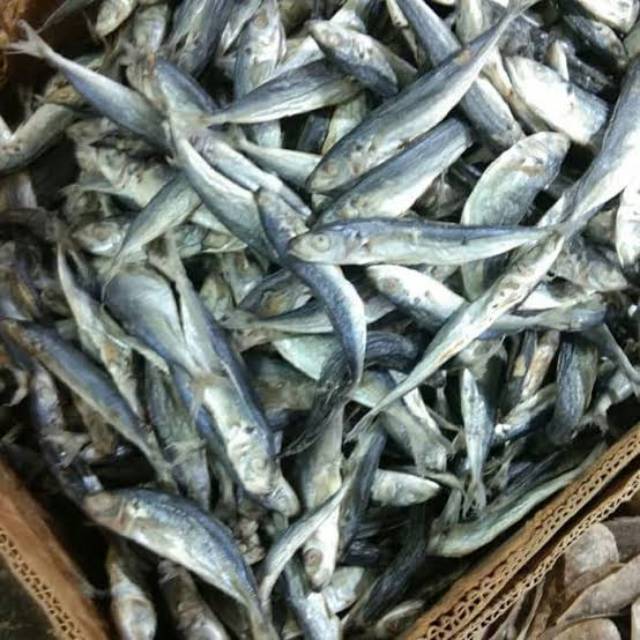 Ikan asin sarden