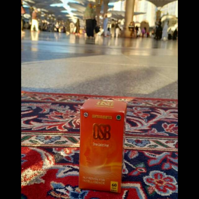 OSB (Multi Vitamin Kecerdasan)