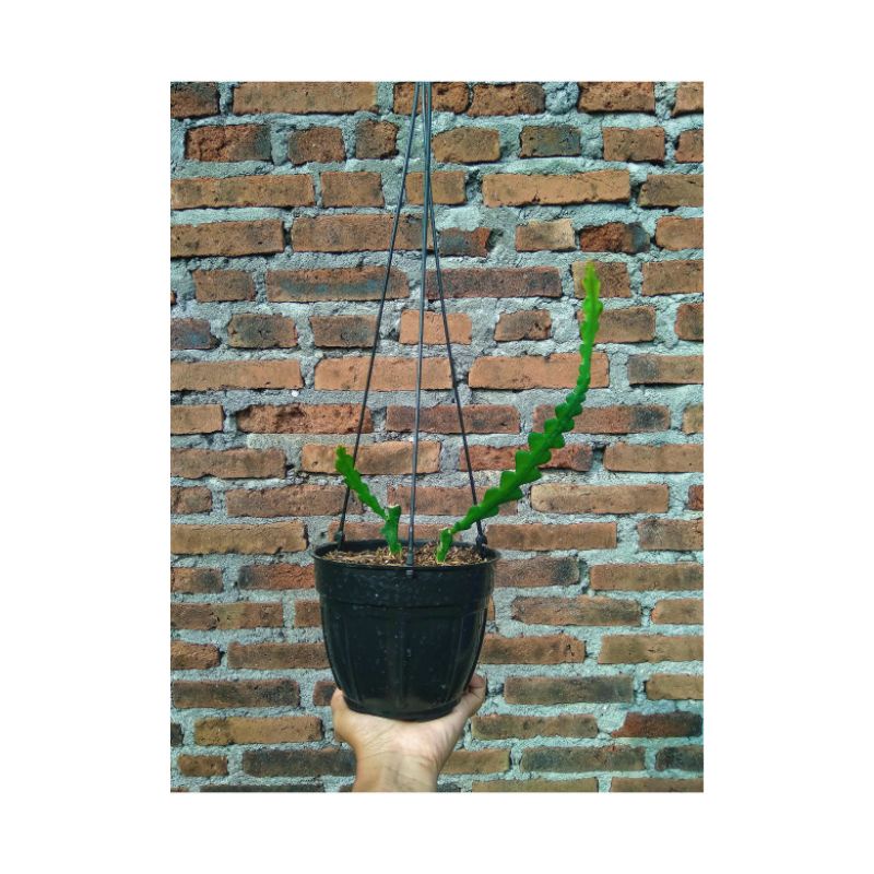 wijaya kusuma keris