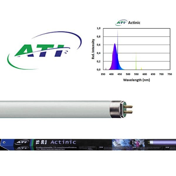 ATI T5 24W Actinic