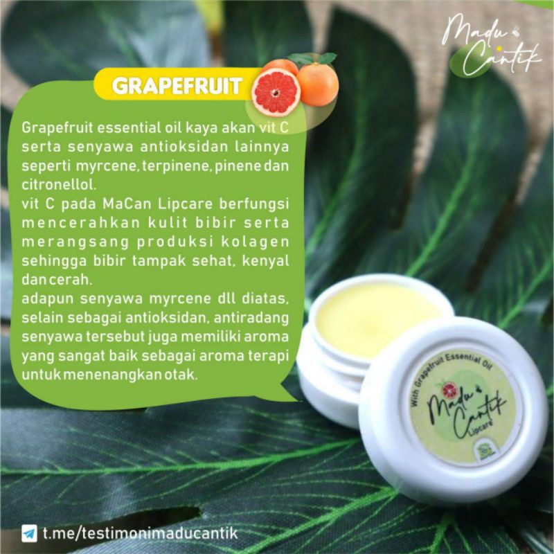 lipcare madu cantik