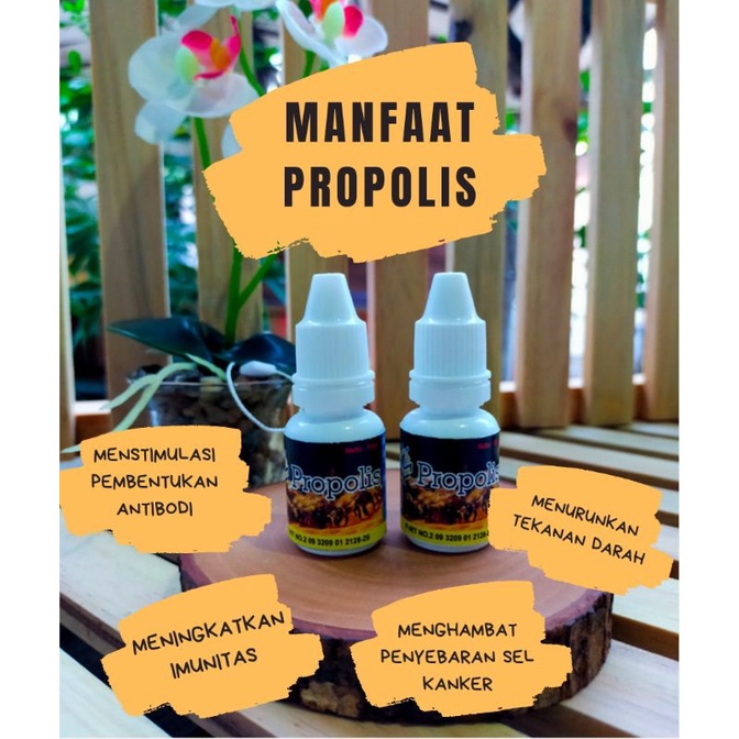 Propolis cair non alkohol 10 ml