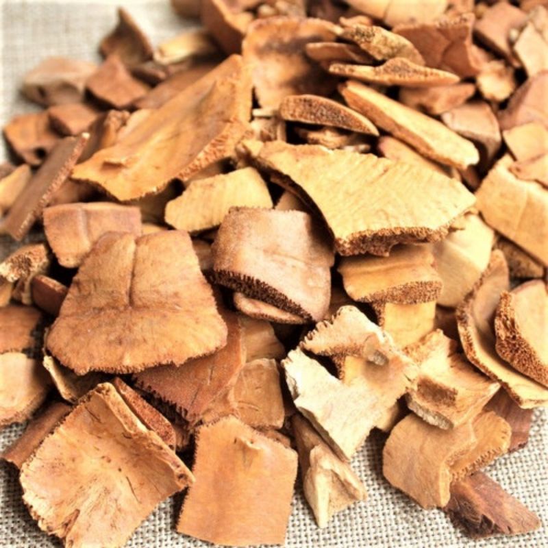GUI ban turtle shell 100 gram