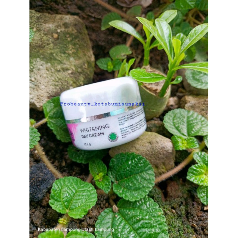 whiteningdaycream