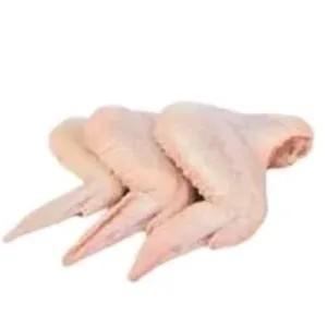 SAYAP AYAM