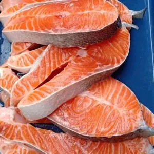 IKAN SALMON SEGAR