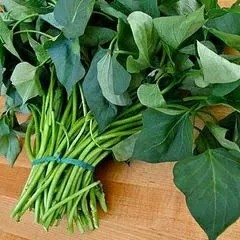 DAUN UBI  1ikt