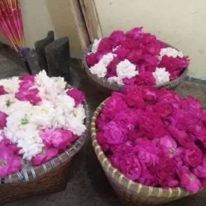 Bunga Mawar Campur Melati Fresh