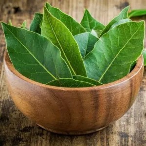 Daun Salam 100g