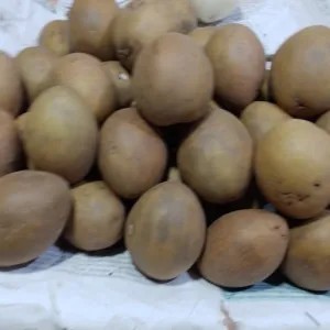 sawo 500g