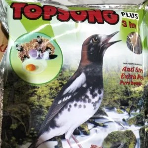 Top song coklat