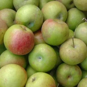 apell malang 1kg