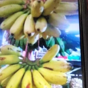 Pisang emas 1per pack