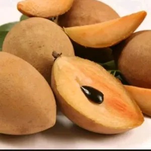 sawo madu