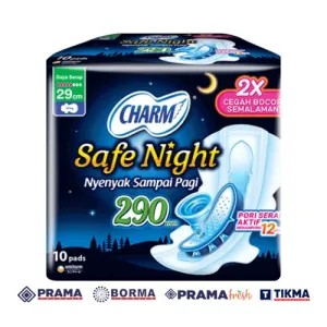 CHARM SAFE NIGHT 29CM WING 9S