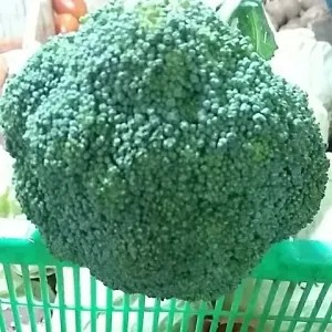 brokoli 350gr