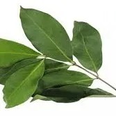 Daun salam /pack 20g