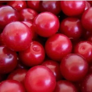 plum cherry red import fresh 120g