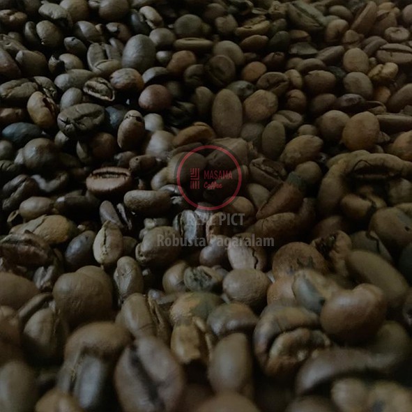 MASAMA Coffee Robusta PAGARALAM (Bean)