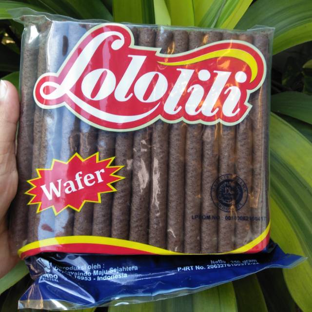 Astor lolo lili