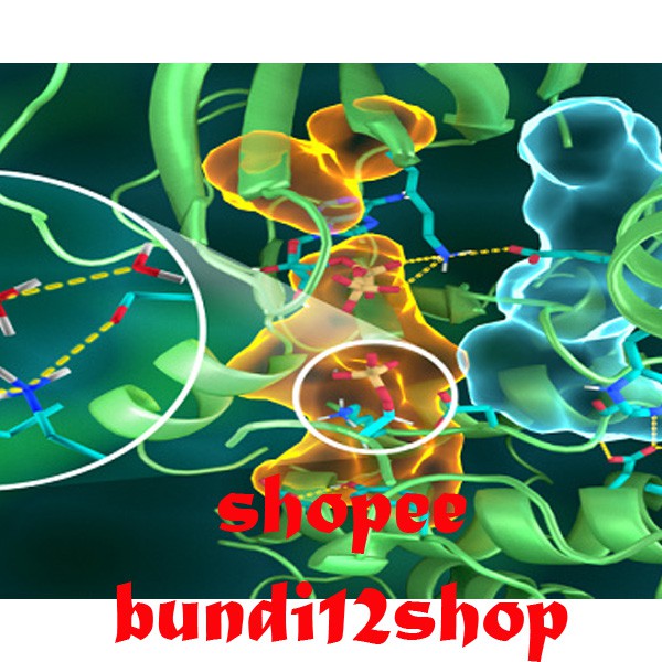 Enzim Protease 50gr