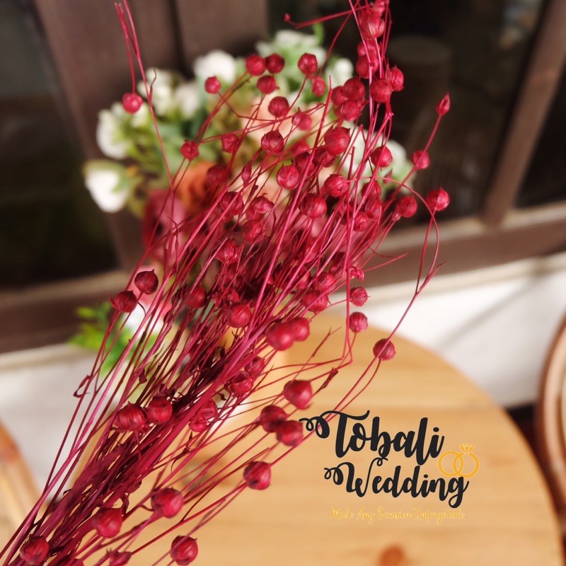 DRIED PRESEVED LINO MERAH