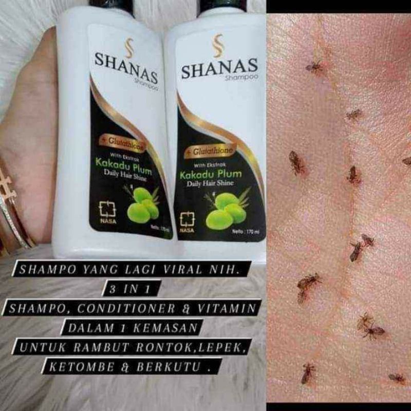 sampo anti kutu