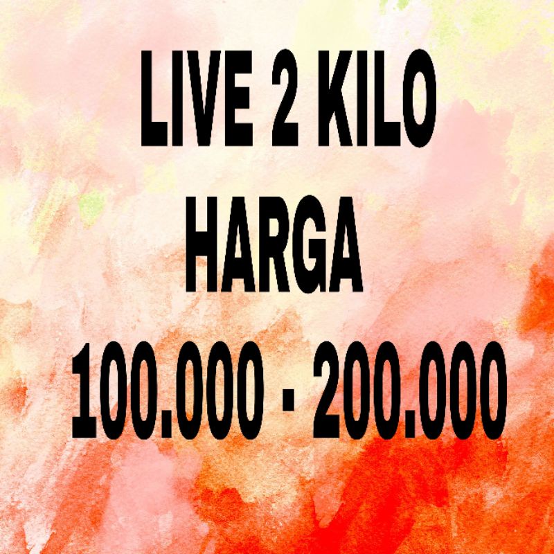 LIVE - PRODAK SA'AT LIVE