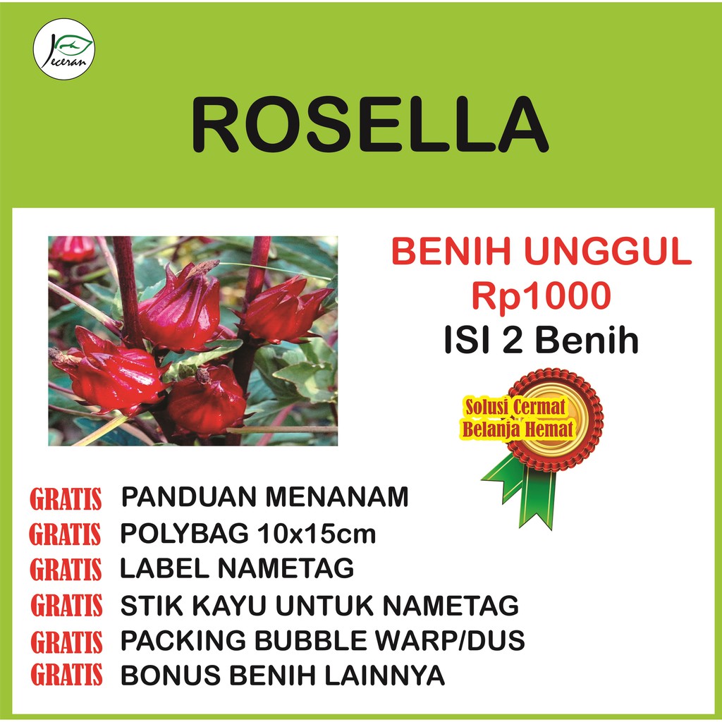 Benih Bibit Bunga Rosella Eceran