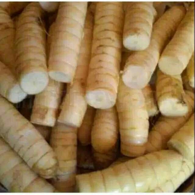 UMBI GARUTT 1 KG