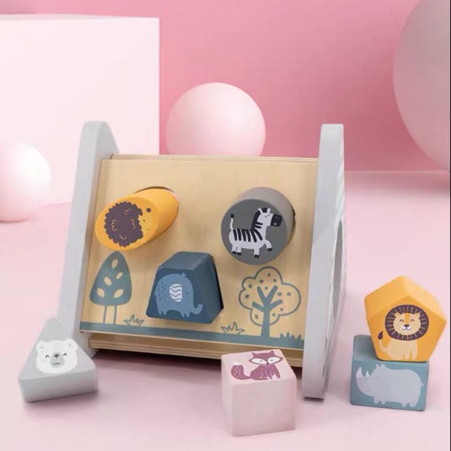 Shape Sorter