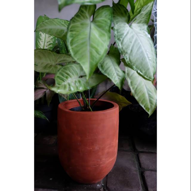 Pot terrakotta jogja