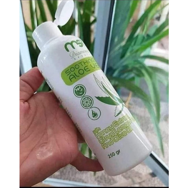 Gel Aloevera MSI